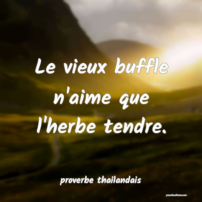 Le vieux buffle n'aime que l'herbe tendre.