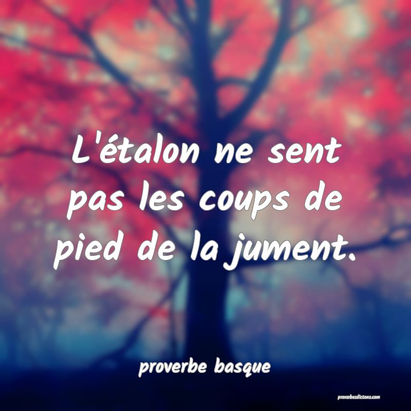  L'étalon ne sent pas les coups de pied de la jument.