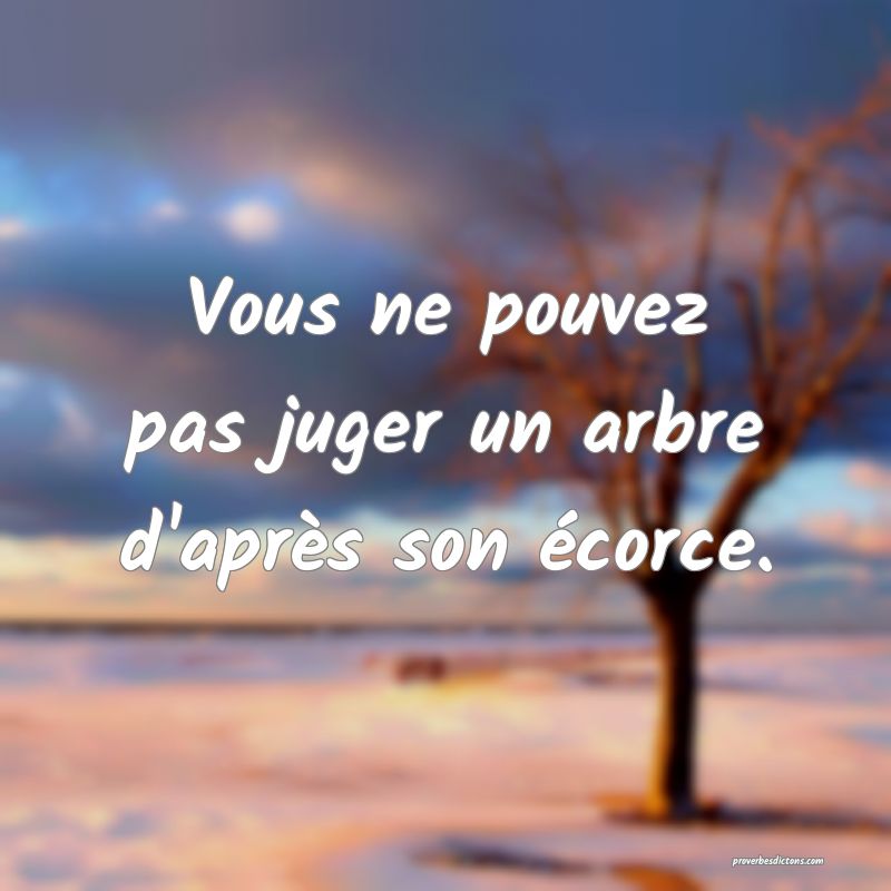 Vous ne pouvez pas juger un arbre d'après son écorce.