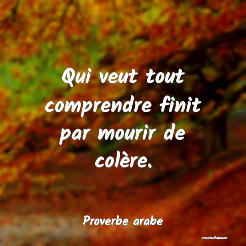 Qui veut tout comprendre finit par mourir de colère.
