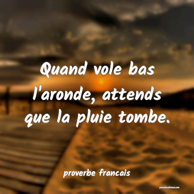 Quand vole bas l'aronde, attends que la pluie tombe.