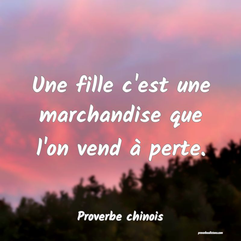 Une fille c'est une marchandise que l'on vend à perte.
