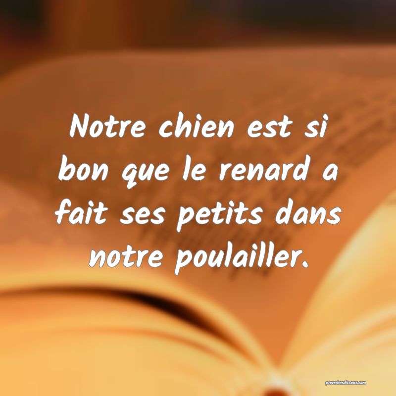Notre chien est si bon que le renard a fait ses petits dans notre poulailler.