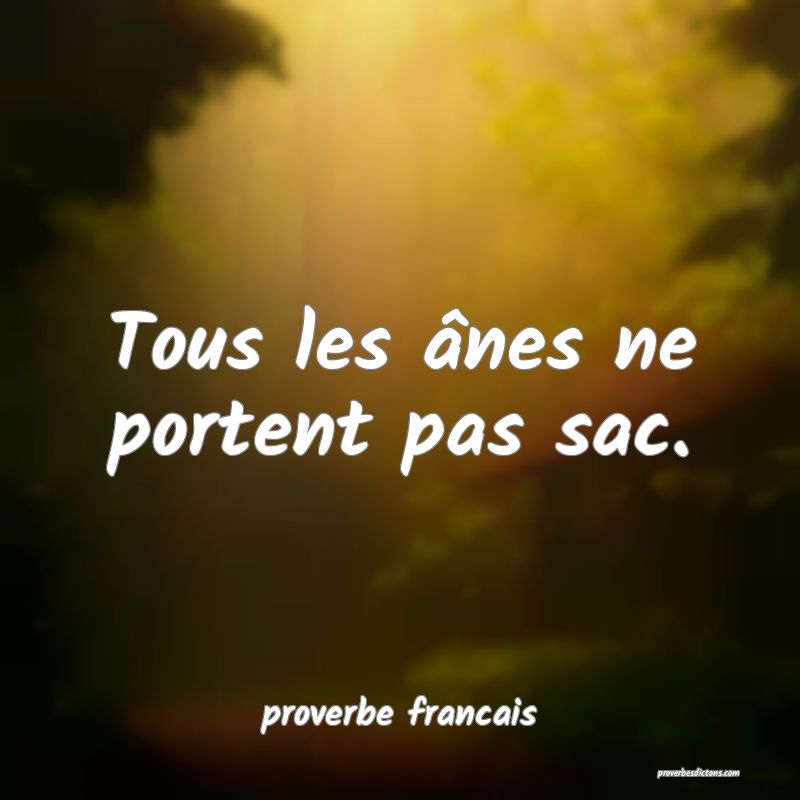 Tous les ânes ne portent pas sac.