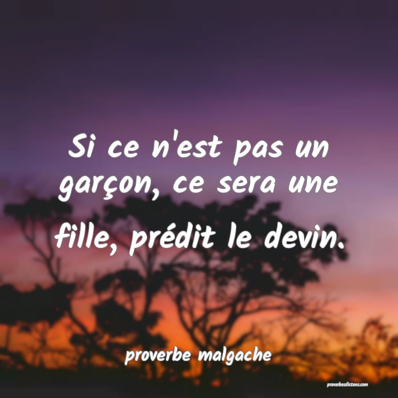  Si ce n'est pas un garçon, ce sera une fille, prédit le devin.