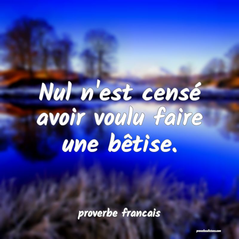Nul n'est censé avoir voulu faire une bêtise.