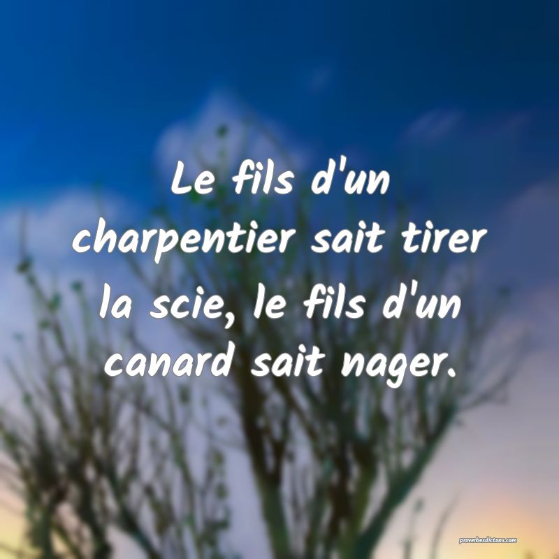 Le fils d'un charpentier sait tirer la scie, le fils d'un canard sait nager.