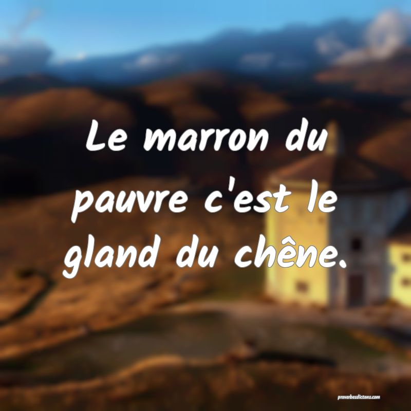 Le marron du pauvre c'est le gland du chêne.