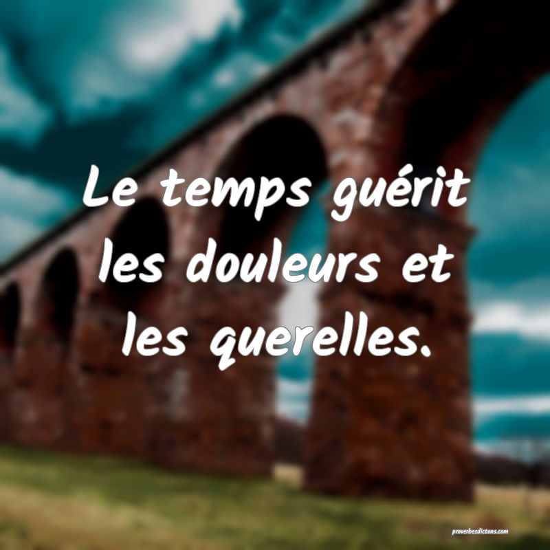 Le temps guérit les douleurs et les querelles.
