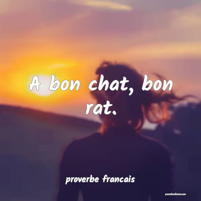 A bon chat, bon rat.