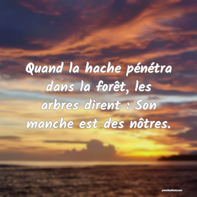 Quand la hache pénétra dans la forêt, les arbres dirent : Son manche est des nôtres.