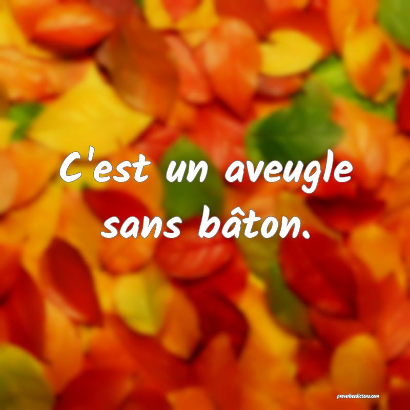 C'est un aveugle sans bâton.
