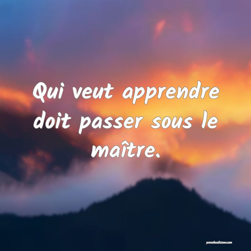 Qui veut apprendre doit passer sous le maître.