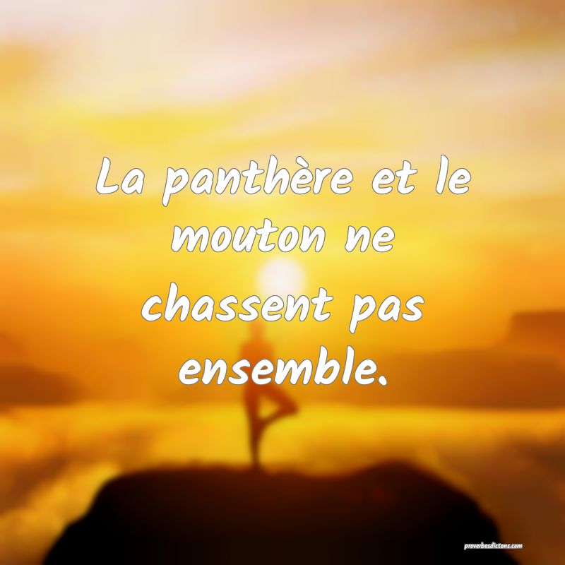 La panthère et le mouton ne chassent pas ensemble.