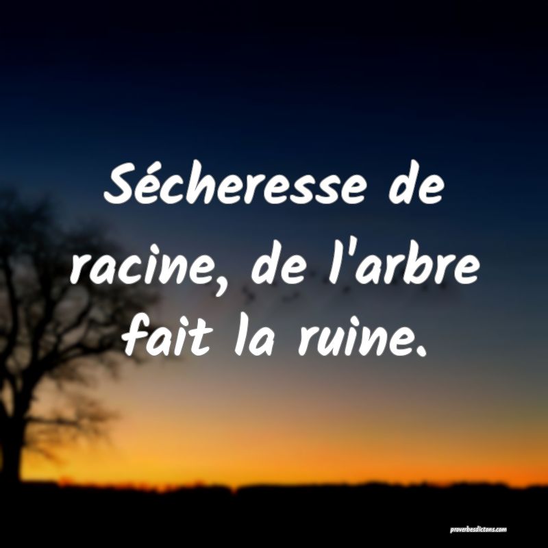 Sécheresse de racine, de l'arbre fait la ruine.