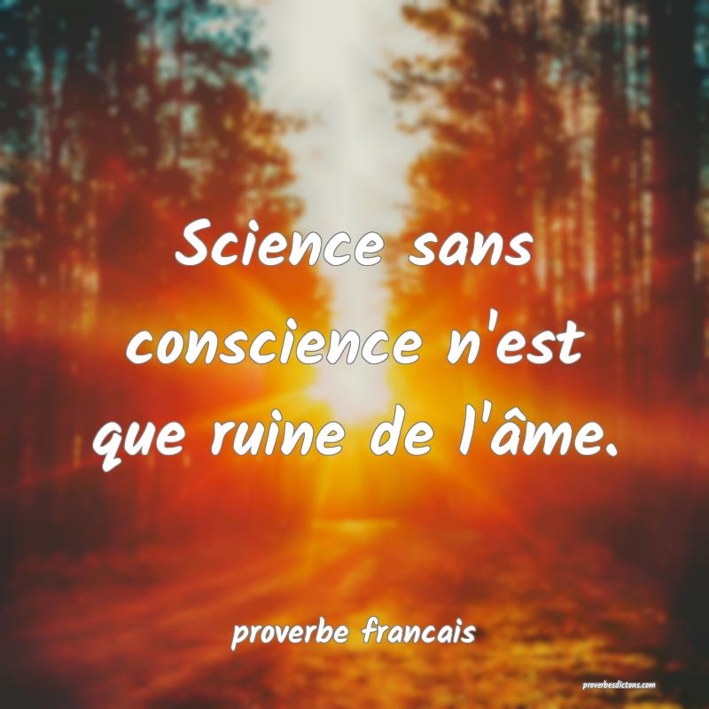 Science sans conscience n'est que ruine de l'âme.