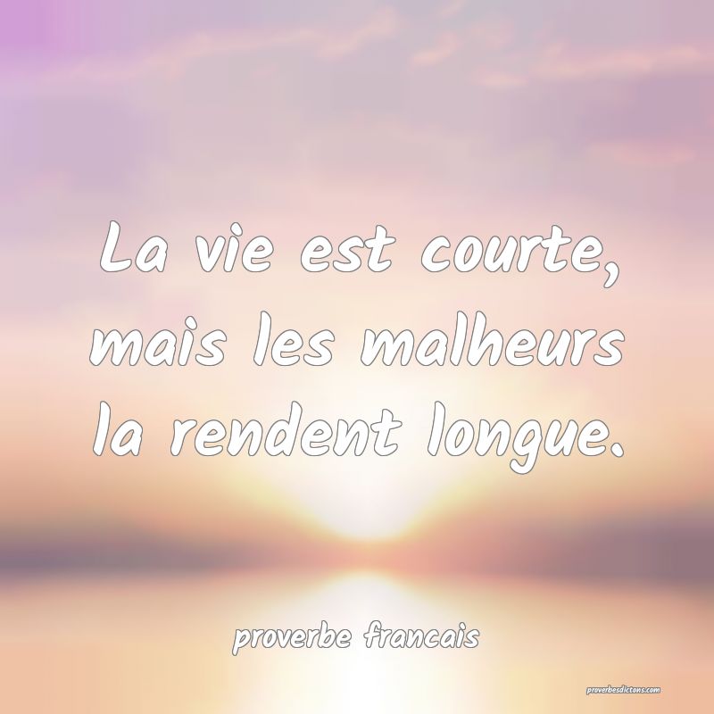 La vie est courte, mais les malheurs la rendent longue.