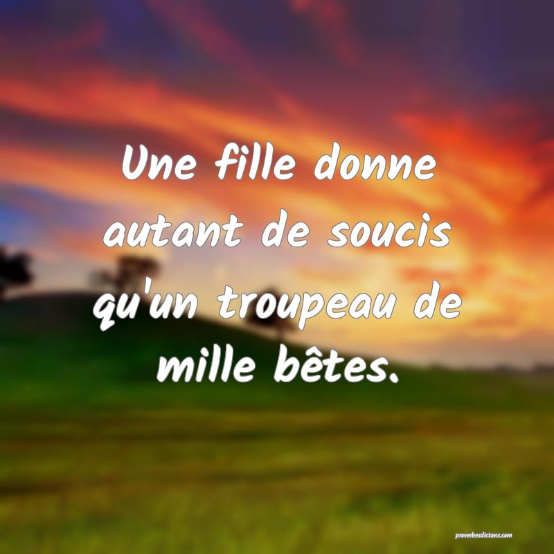 Une fille donne autant de soucis qu'un troupeau de mille bêtes.