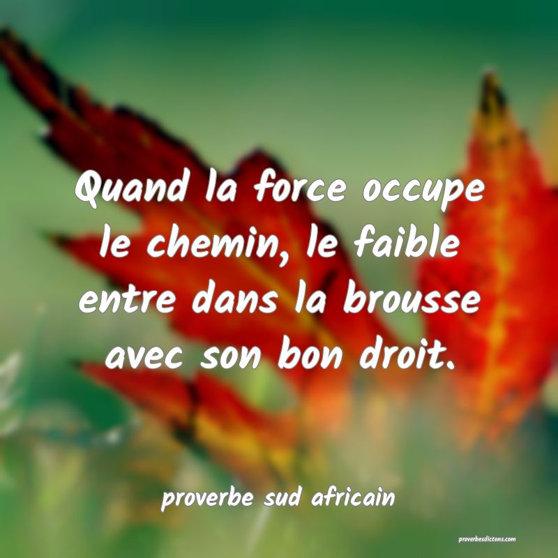 Quand la force occupe le chemin, le faible entre dans la brousse avec son bon droit.
