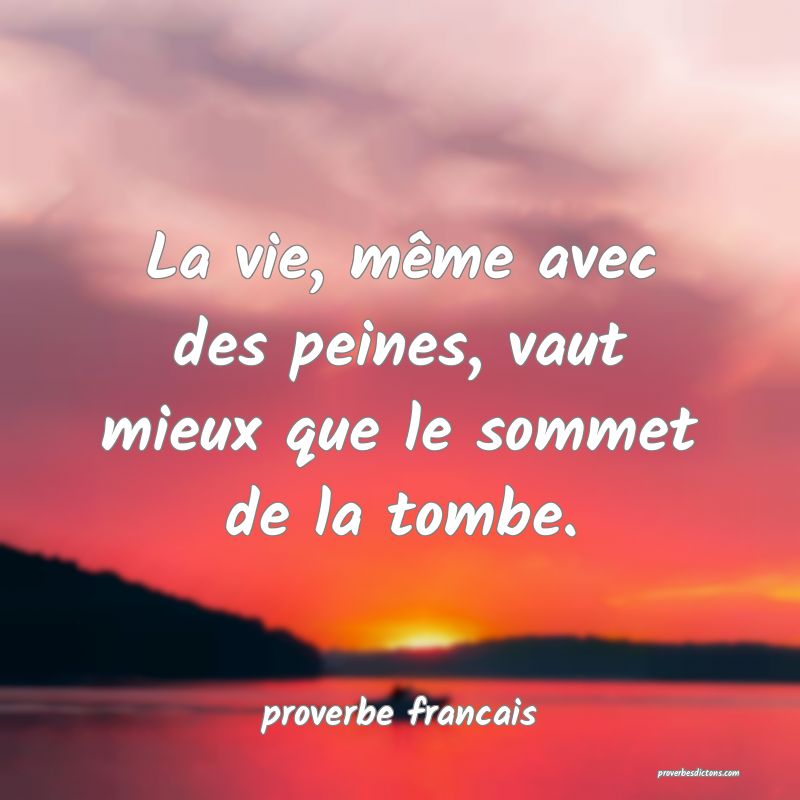 La vie, même avec des peines, vaut mieux que le sommet de la tombe.
