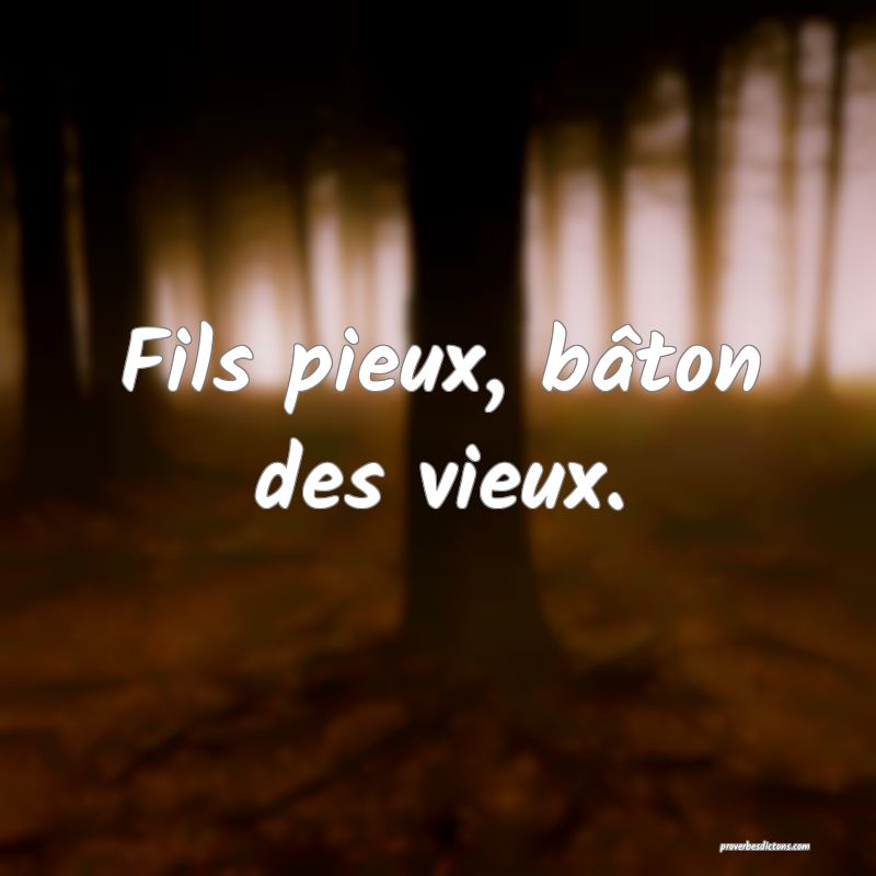 Fils pieux, bâton des vieux.