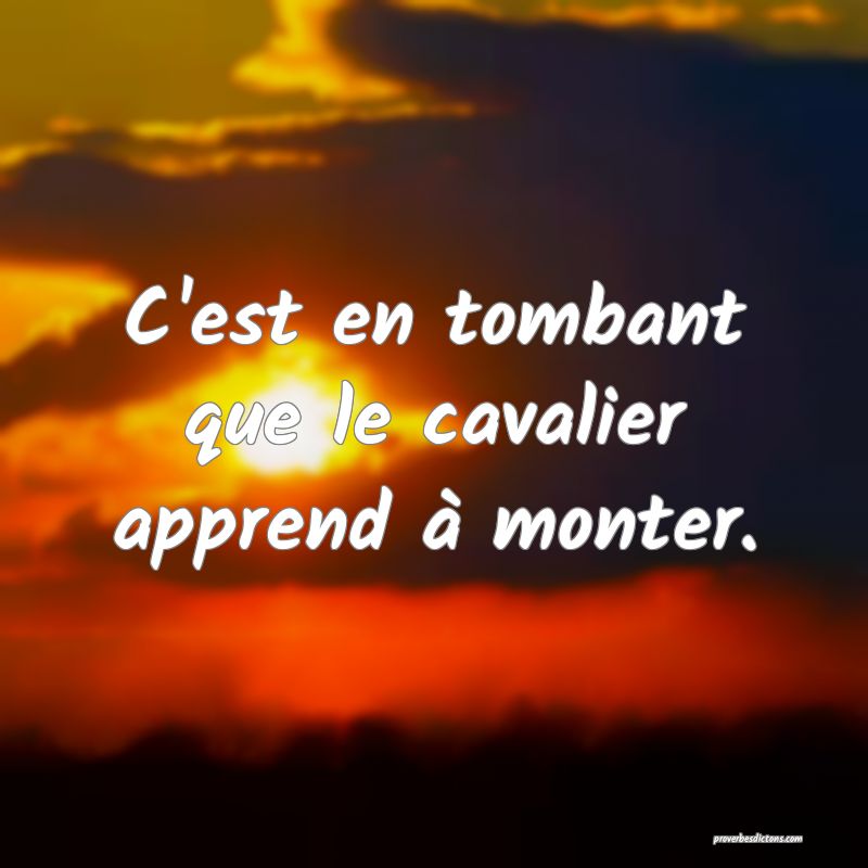 C'est en tombant que le cavalier apprend à monter.