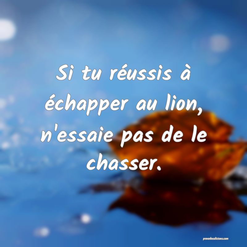 Si tu réussis à échapper au lion, n'essaie pas de le chasser.
