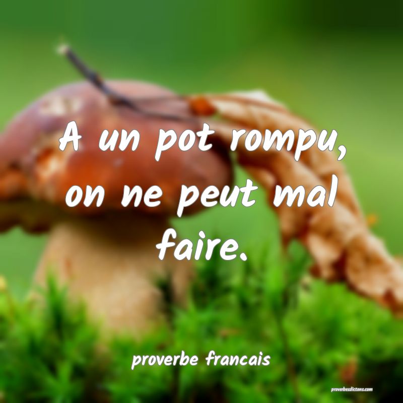 A un pot rompu, on ne peut mal faire.