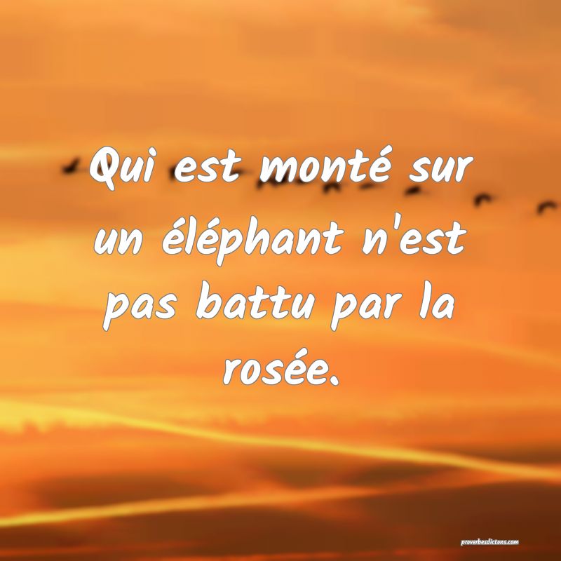 Qui est monté sur un éléphant n'est pas battu par la rosée.