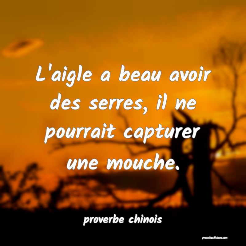 L'aigle a beau avoir des serres, il ne pourrait capturer une mouche.