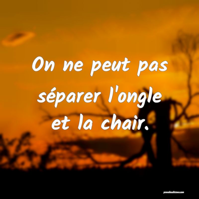 On ne peut pas séparer l'ongle et la chair.