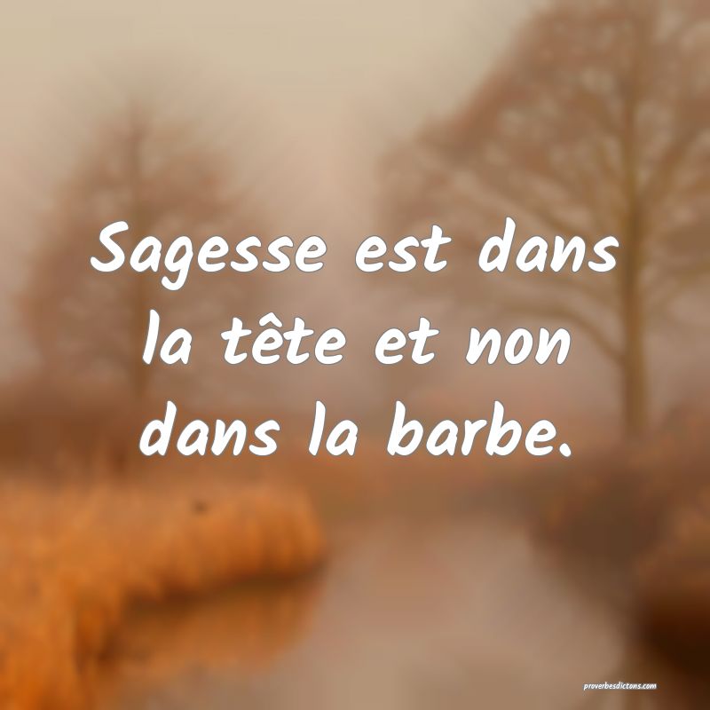 Sagesse est dans la tête et non dans la barbe.