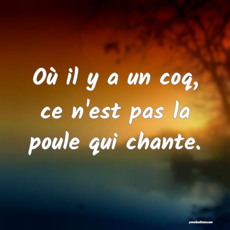 Où il y a un coq, ce n'est pas la poule qui chante.