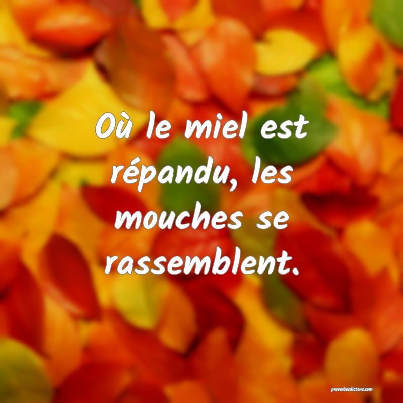 Où le miel est répandu, les mouches se rassemblent.