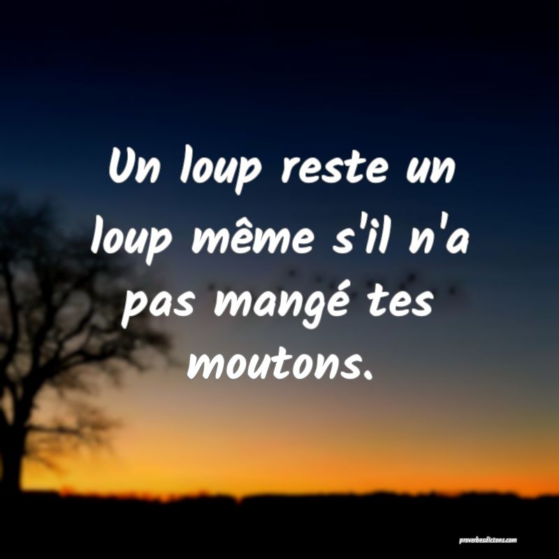 Un loup reste un loup même s'il n'a pas mangé tes moutons.