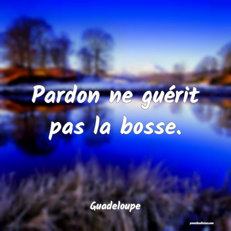 Pardon ne guérit pas la bosse.
