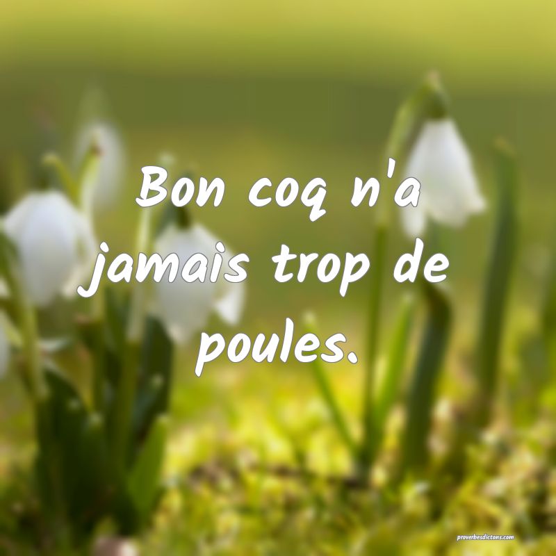 Bon coq n'a jamais trop de poules.