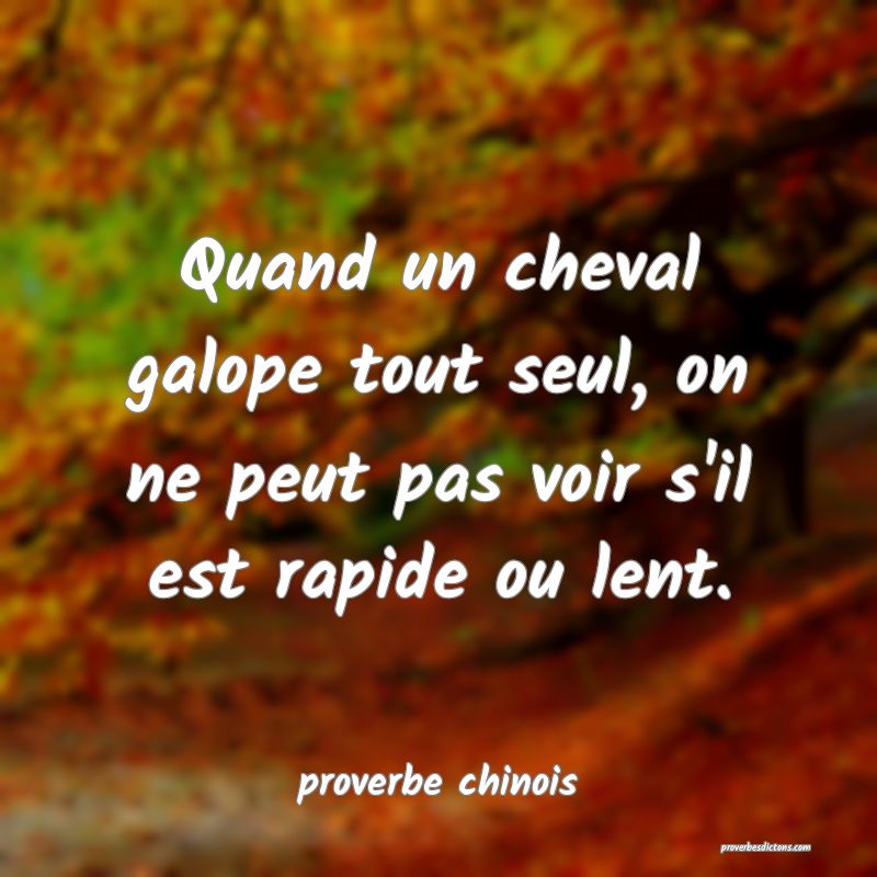 Quand un cheval galope tout seul, on ne peut pas voir s'il est rapide ou lent.