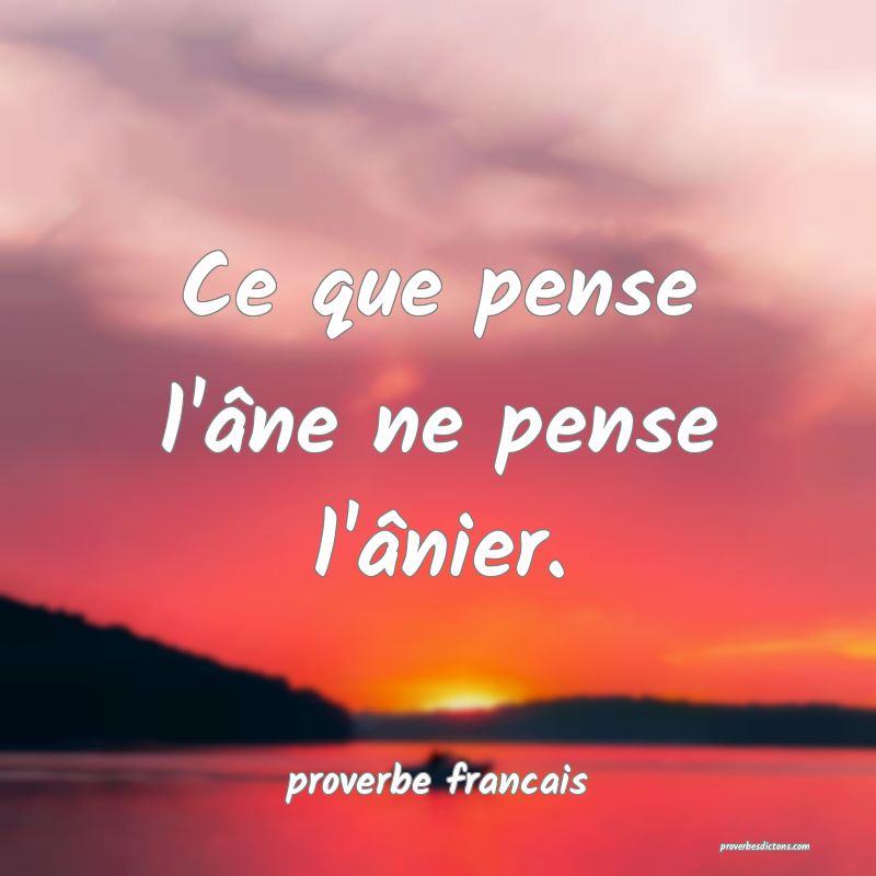 Ce que pense l'âne ne pense l'ânier.