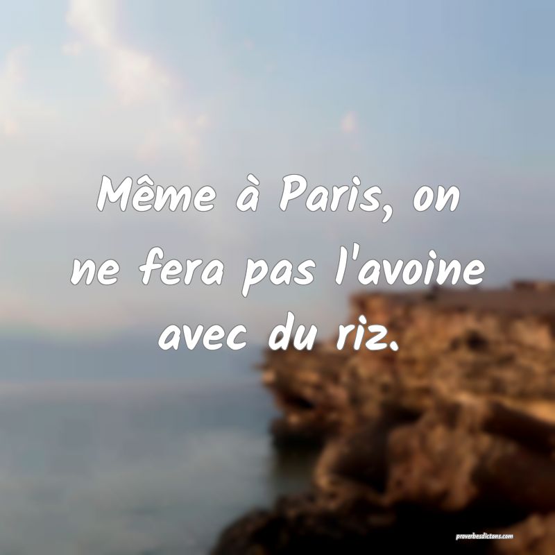 Même à Paris, on ne fera pas l'avoine avec du riz.