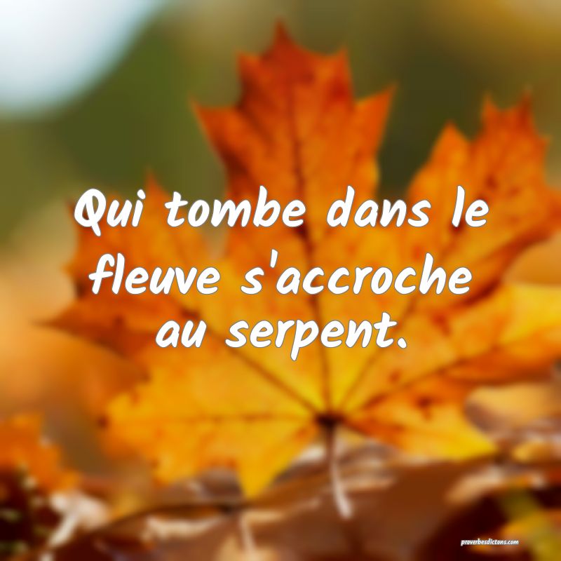 Qui tombe dans le fleuve s'accroche au serpent.