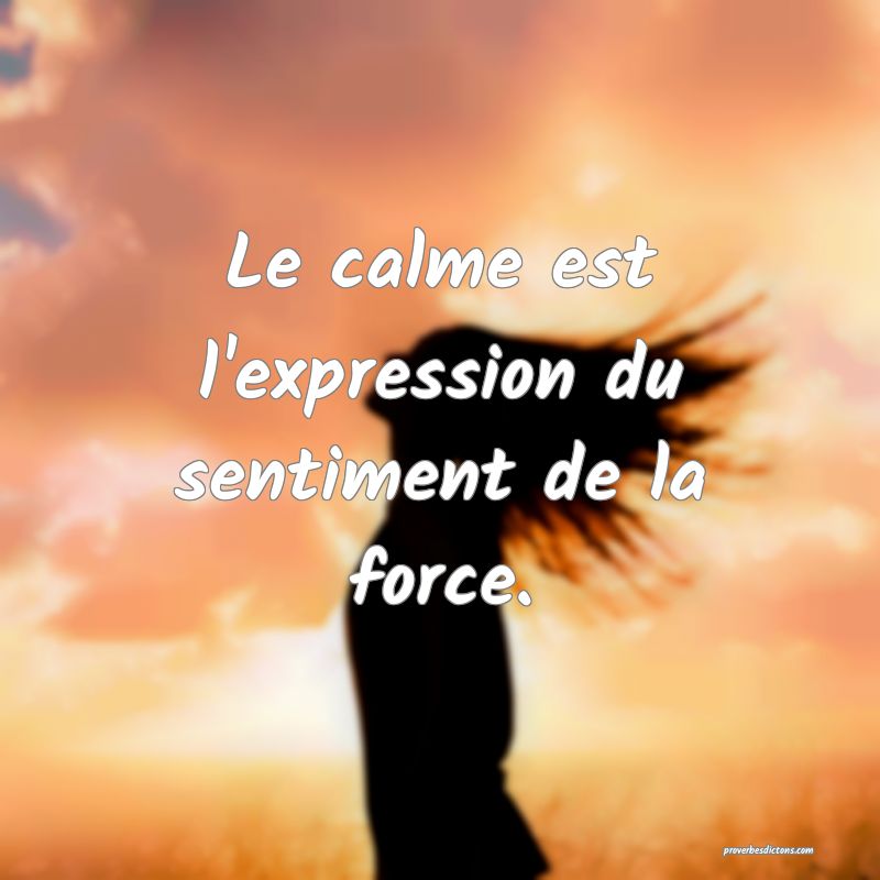 Le calme est l'expression du sentiment de la force.