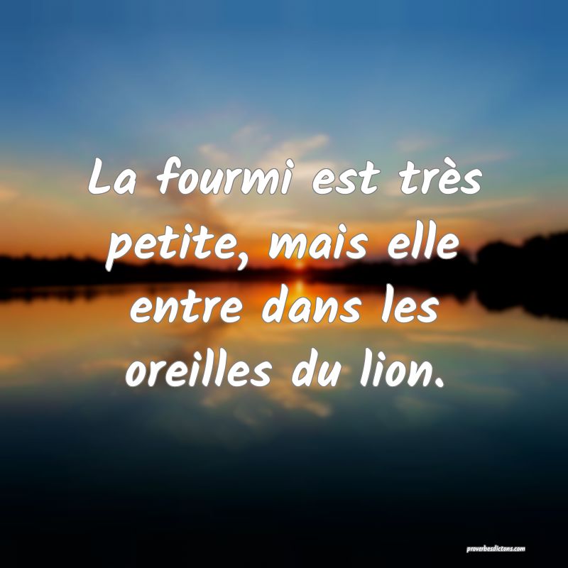 La fourmi est très petite, mais elle entre dans les oreilles du lion.