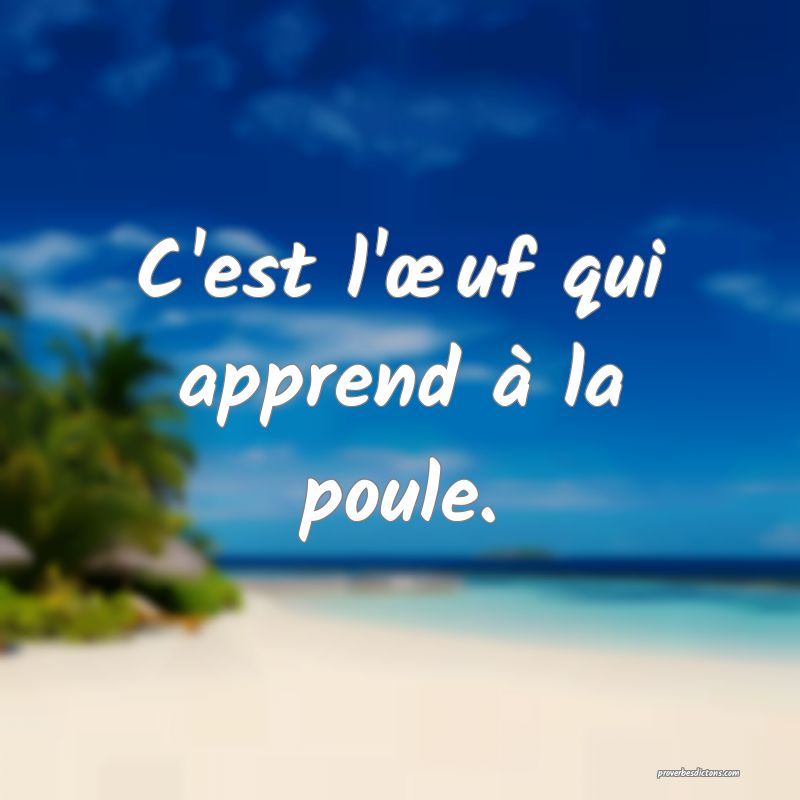 C'est l'œuf qui apprend à la poule.