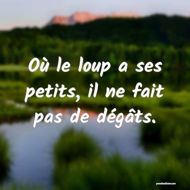 Où le loup a ses petits, il ne fait pas de dégâts.