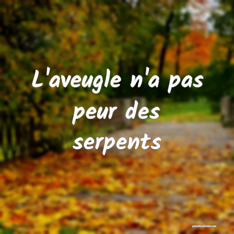 L'aveugle n'a pas peur des serpents