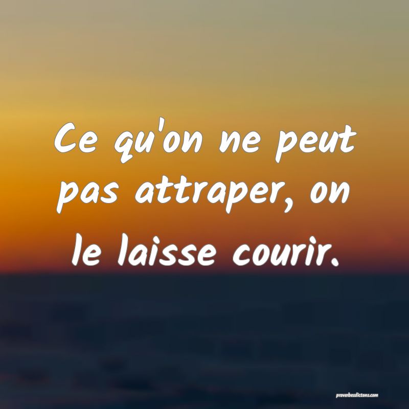 Ce qu'on ne peut pas attraper, on le laisse courir.