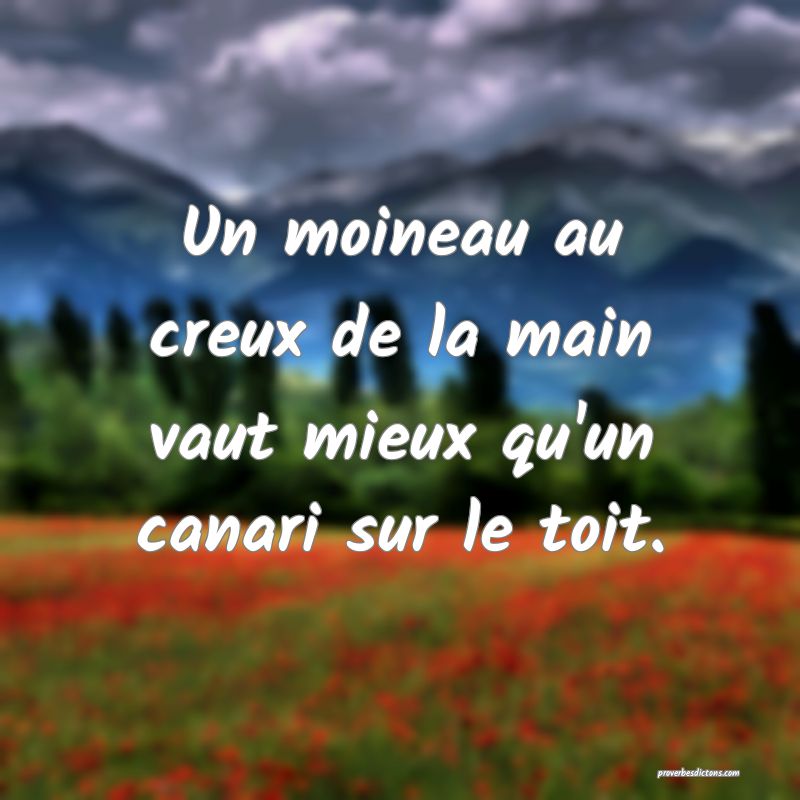Un moineau au creux de la main vaut mieux qu'un canari sur le toit.