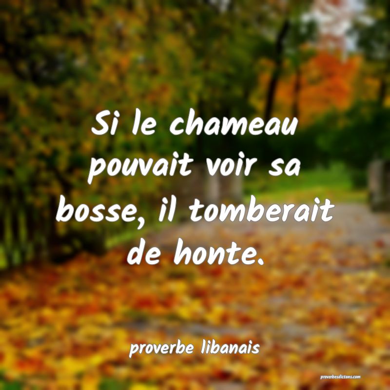 Si le chameau pouvait voir sa bosse, il tomberait de honte.