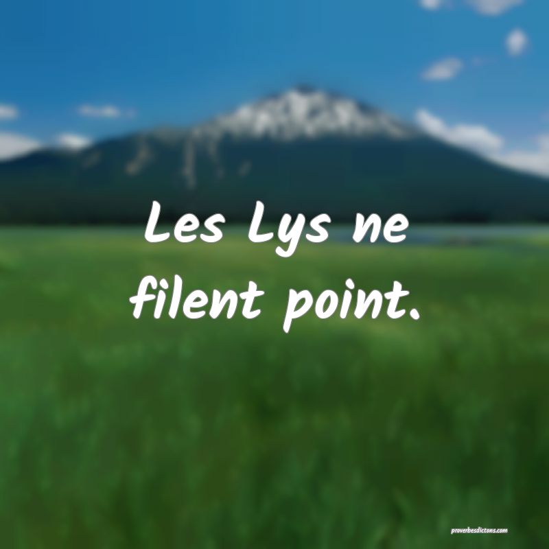Les Lys ne filent point.